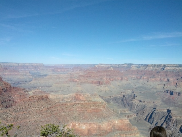 IMG_20130313_100755.jpg